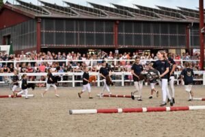Mehr über den Artikel erfahren Ein faszinierender Auftritt der Hobby Horsing Gruppe Kaiserstuhl bei der Show der Pferde in Gundelfingen