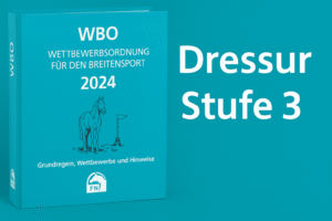 Mehr über den Artikel erfahren Hobby Horsing Turnier – Dressur Stufe 3