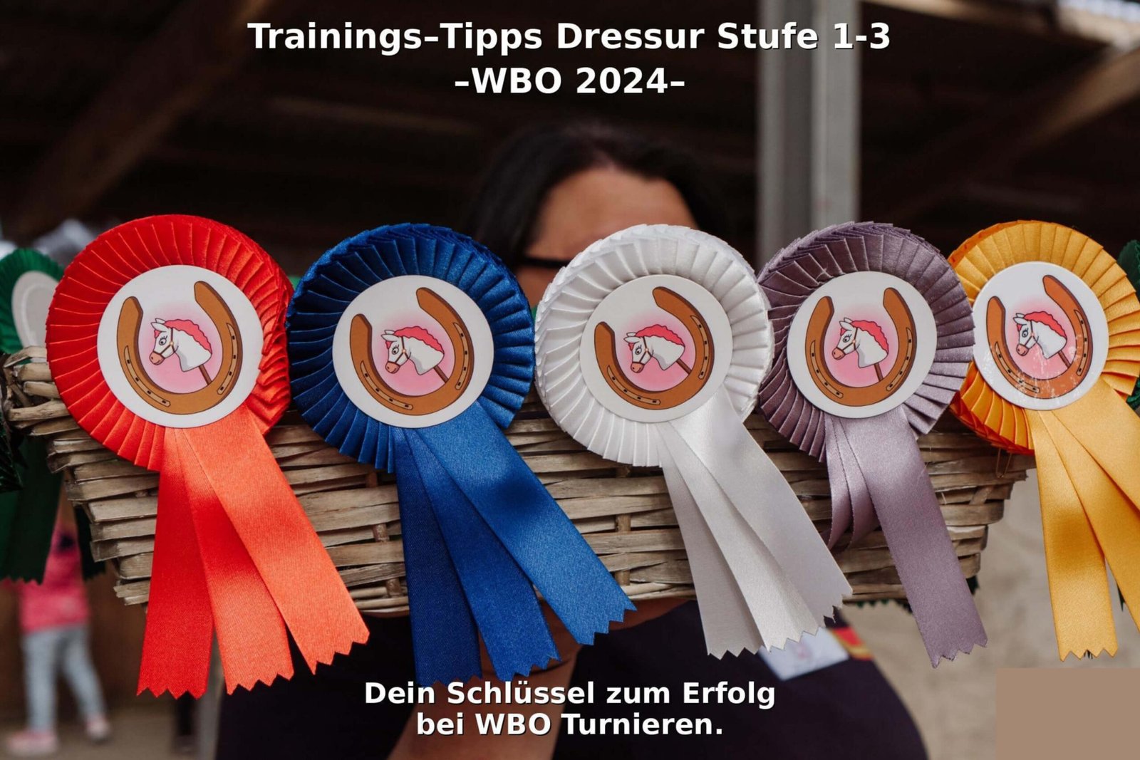 Mehr über den Artikel erfahren Exklusive Trainingsvorlagen für Hobby Horsing Dressur  Stufe 1-3 – WBO 2024