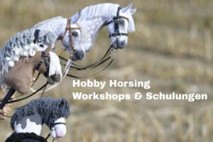 Mehr über den Artikel erfahren Hobby Horsing Workshops & Schulungen