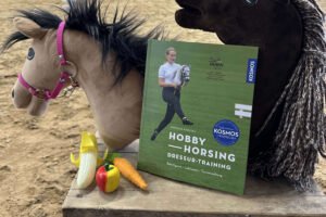 Mehr über den Artikel erfahren Hobby Horsing Dressurtraining