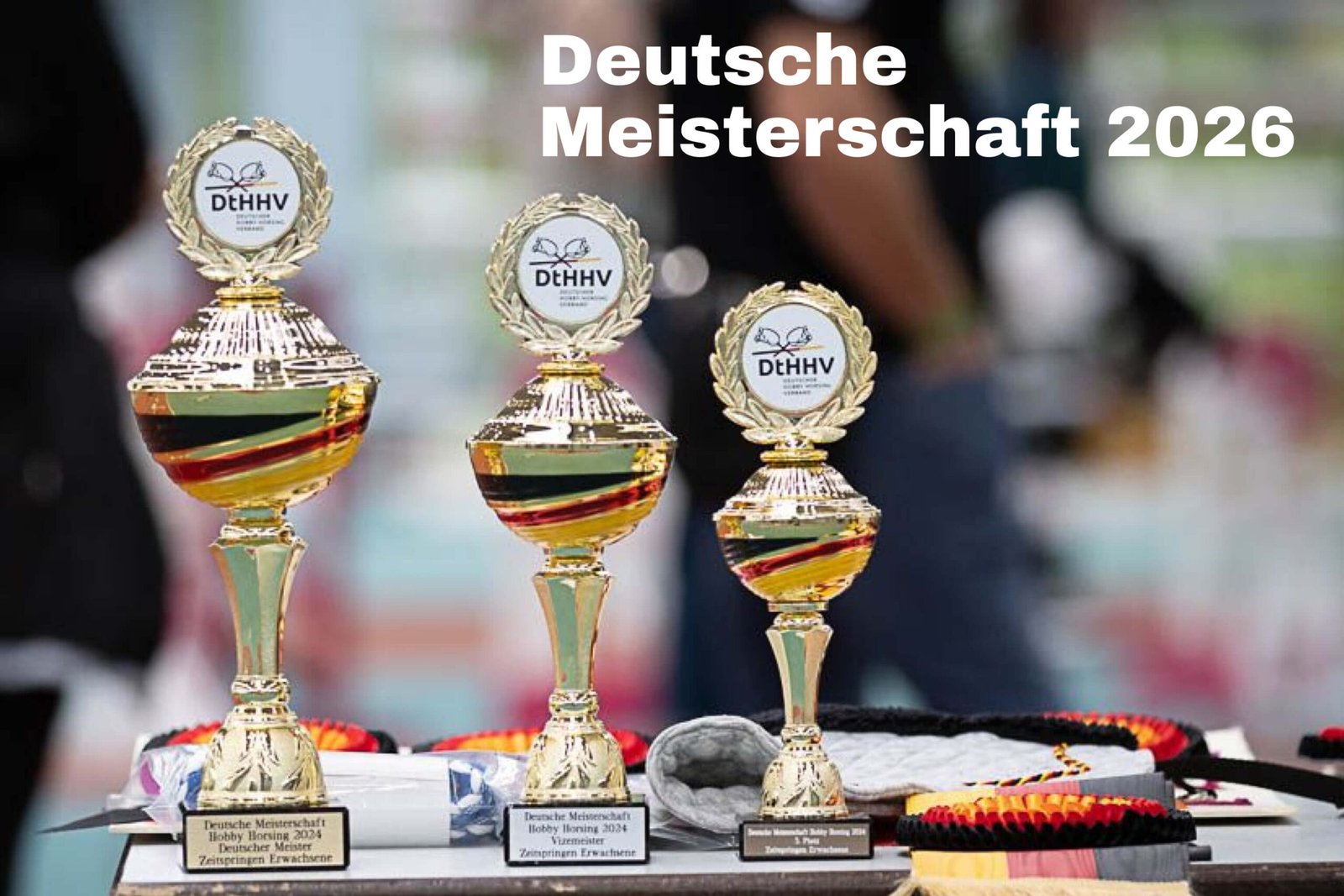 Mehr über den Artikel erfahren Die 2. Deutsche Meisterschaft im Hobby Horsing kommt!