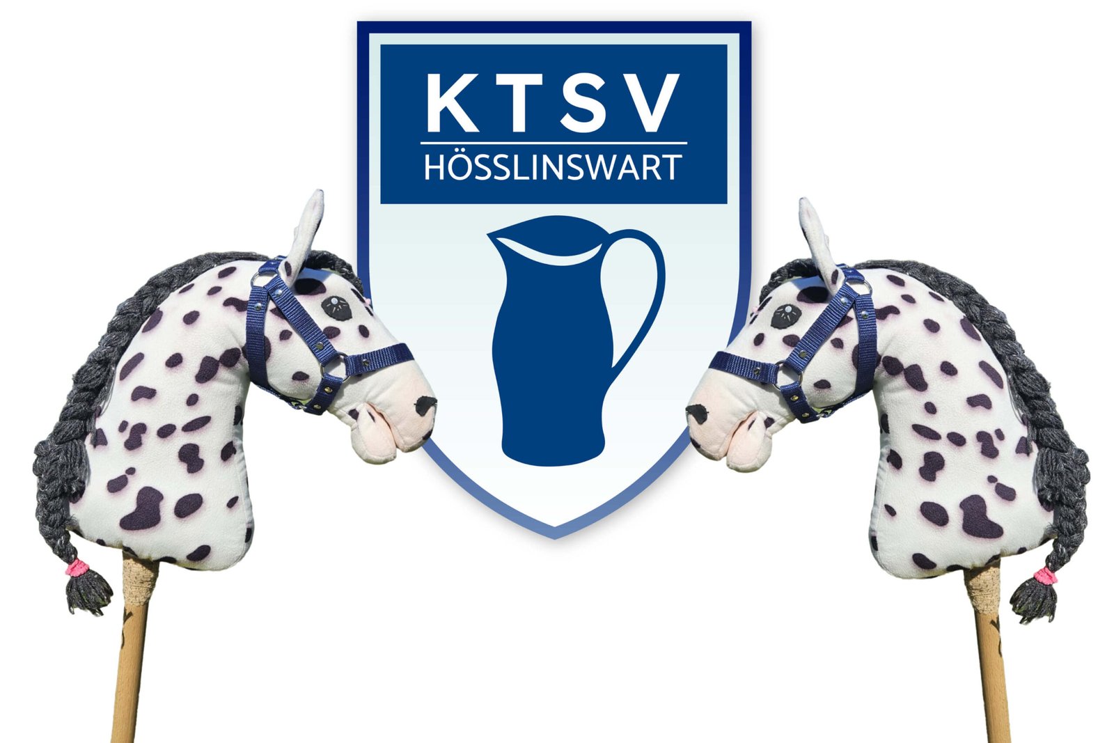Mehr über den Artikel erfahren Trainer*in (m/w/d) für Hobby Horsing gesucht