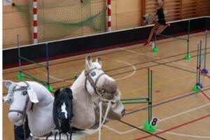 Mehr über den Artikel erfahren Deine ersten Schritte zum Hobby Horsing Trainer