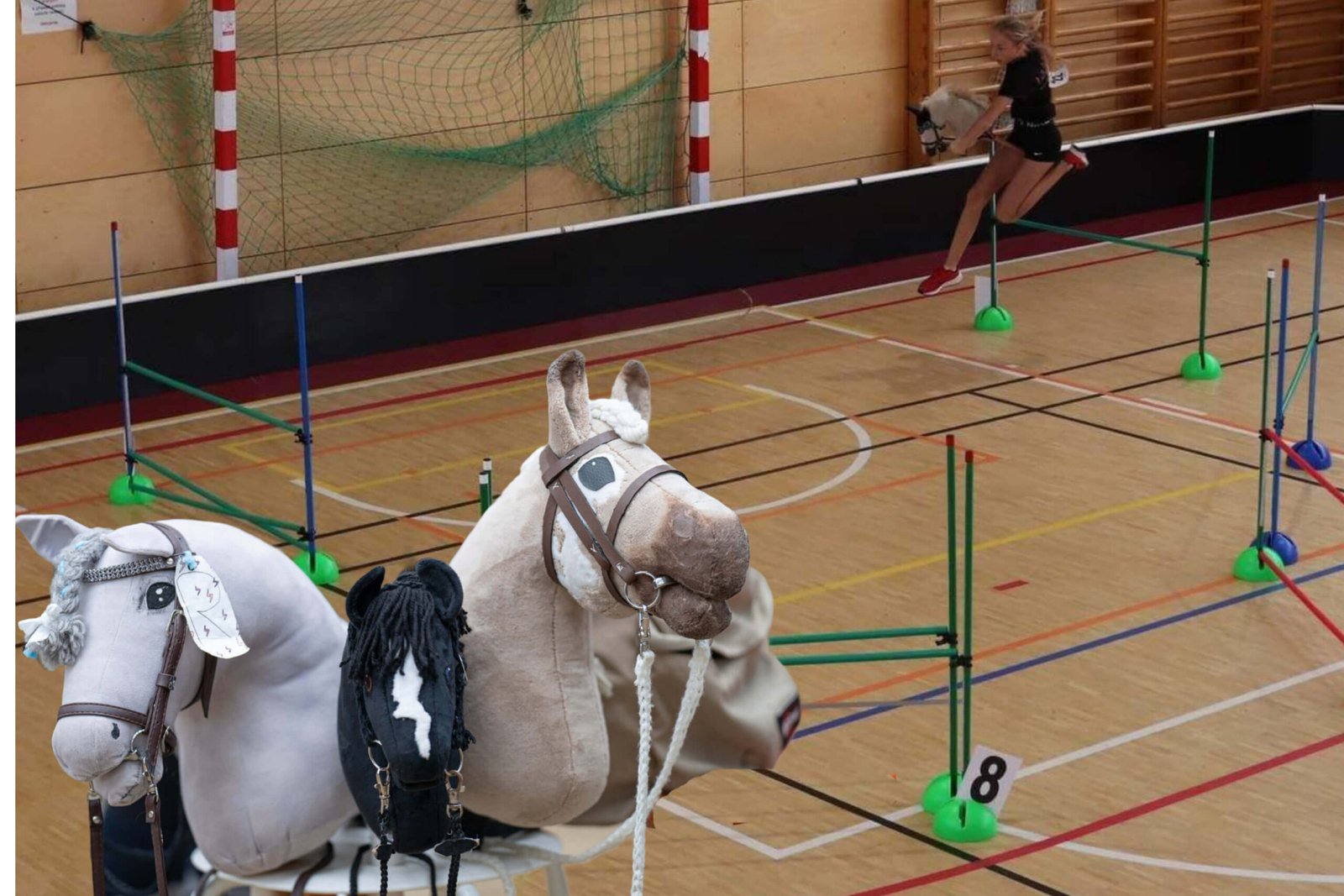 Wie werde ich Hobby Horsing Trainer? Wenn du Interesse daran hast, anderen das Hobby Horsing näherzubringen und Trainingsgruppen zu leiten, gibt es einige Schritte, die du beachten solltest, um professionell und erfolgreich durchzustarten.