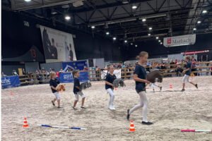 Mehr über den Artikel erfahren Hobby Horsing im Fokus der Eurocheval 2023