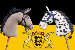 Mehr über den Artikel erfahren Hobby Horsing in Baden-Württemberg