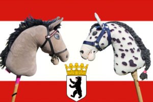 Mehr über den Artikel erfahren Hobby Horsing in Berlin