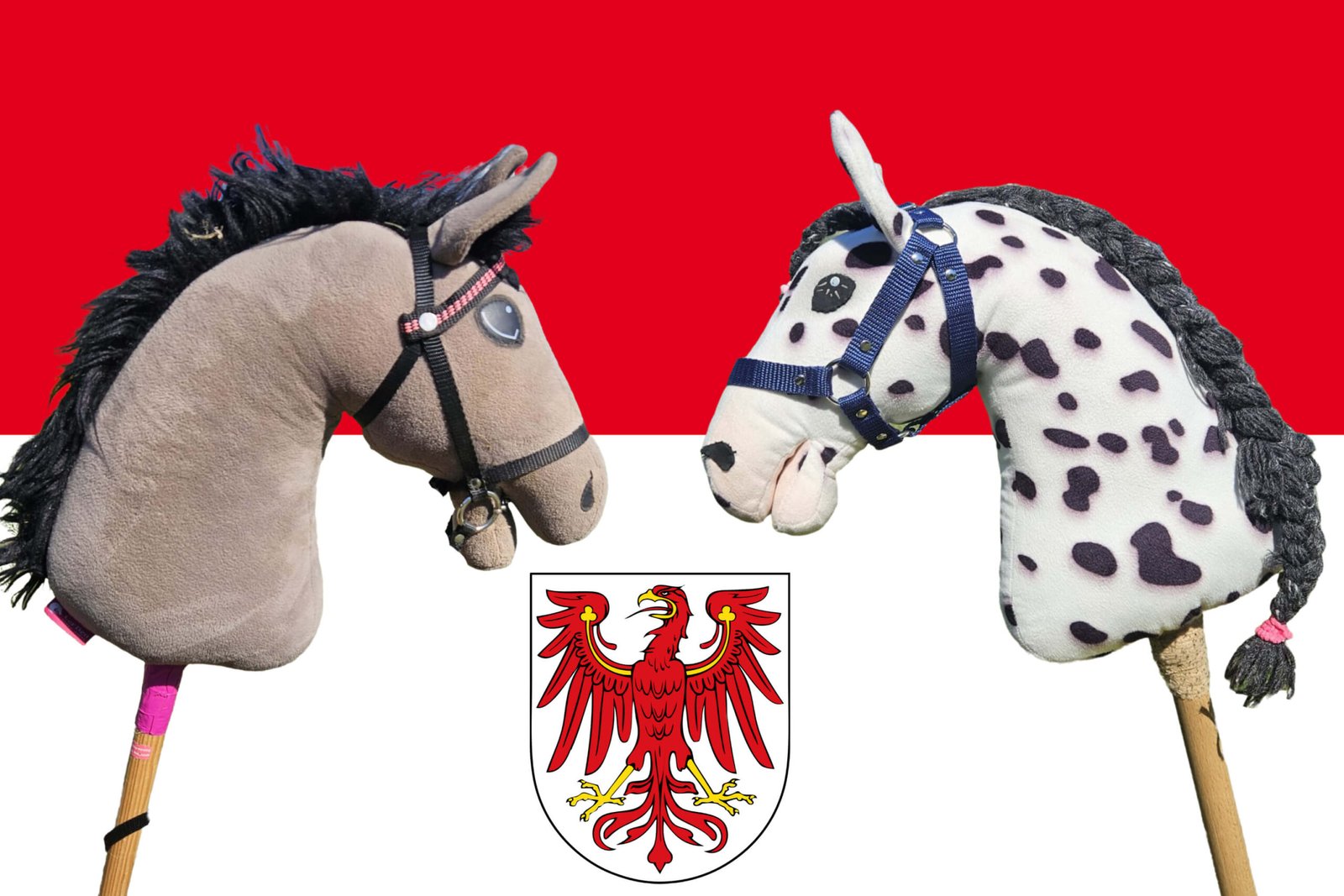 Mehr über den Artikel erfahren Hobby Horsing in Brandenburg