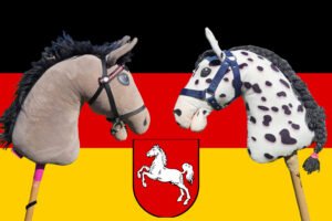 Mehr über den Artikel erfahren Hobby Horsing in Niedersachsen