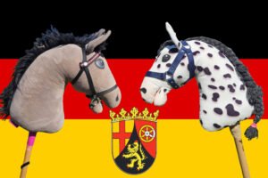 Mehr über den Artikel erfahren Hobby Horsing in Rheinland-Pfalz