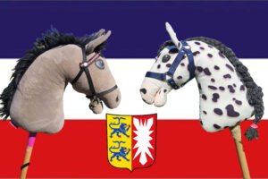 Mehr über den Artikel erfahren Hobby Horsing in Schleswig-Holstein