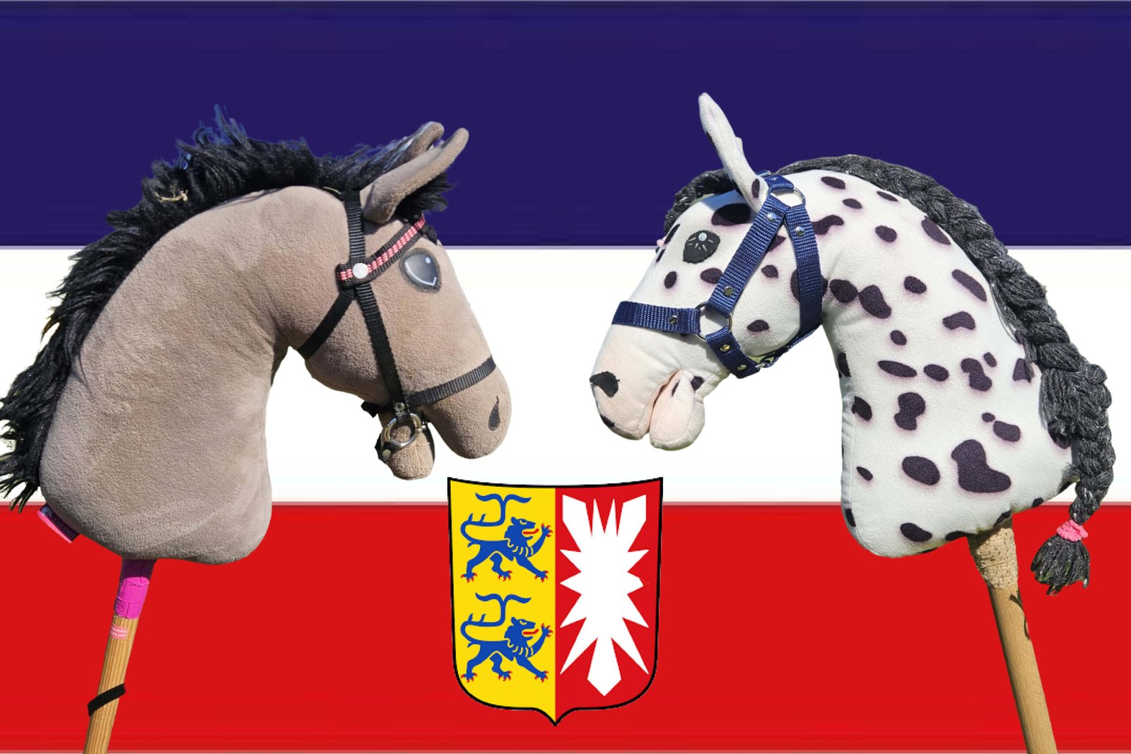 Du betrachtest gerade Hobby Horsing in Schleswig-Holstein