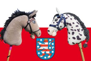 Mehr über den Artikel erfahren Hobby Horsing in Thüringen