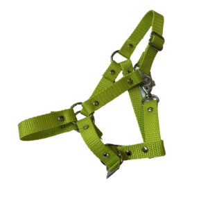 Hobby Horse Halfter M