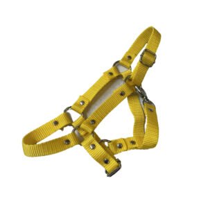 Hobby Horse Halfter Größe XS