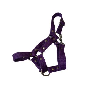 Hobby Horse Halfter Größe M– universal & Verstellbar
