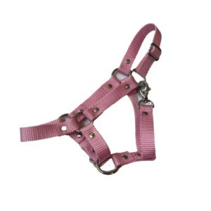 Hobby Horse Halfter Größe S