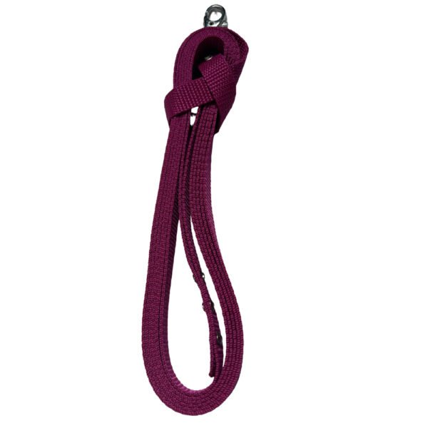 Foto von Fuchsia farbene Hobby Horse Longe