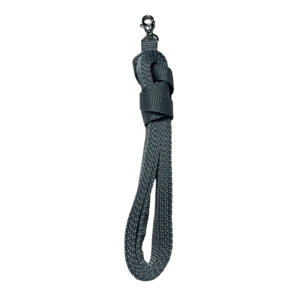Foto von grauer Hobby Horse Longe