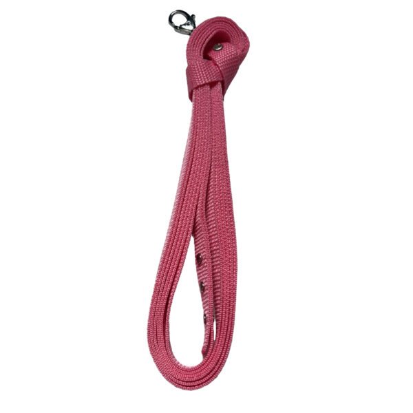 Foto von pinker Hobby Horse Longe