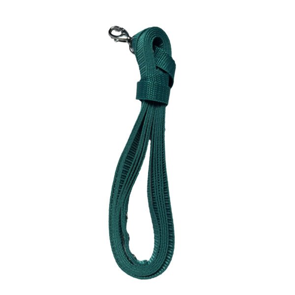 Foto von türkiser Hobby Horse Longe