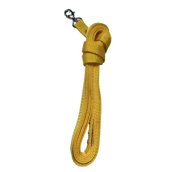 Foto von gelber Hobby Horse Longe