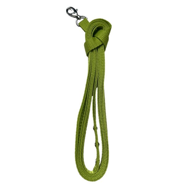 Foto von hellgrüner Hobby Horse Longe