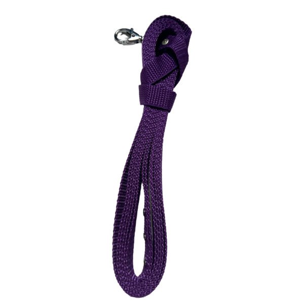 Foto von lilaner Hobby Horse Longe