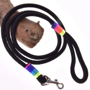 Hobby Horse Führstrick