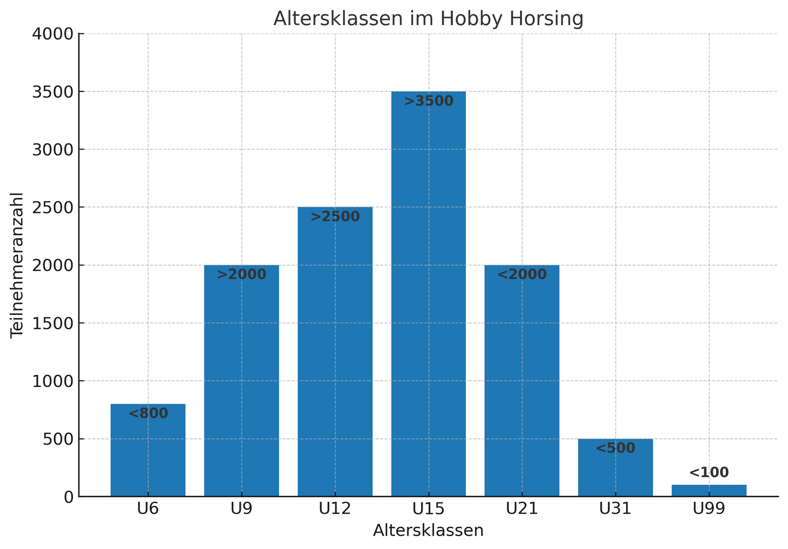 Balken-Diagramm mit der Auswertung der Altersklassen aktiver Hobby Horser in Deutschland