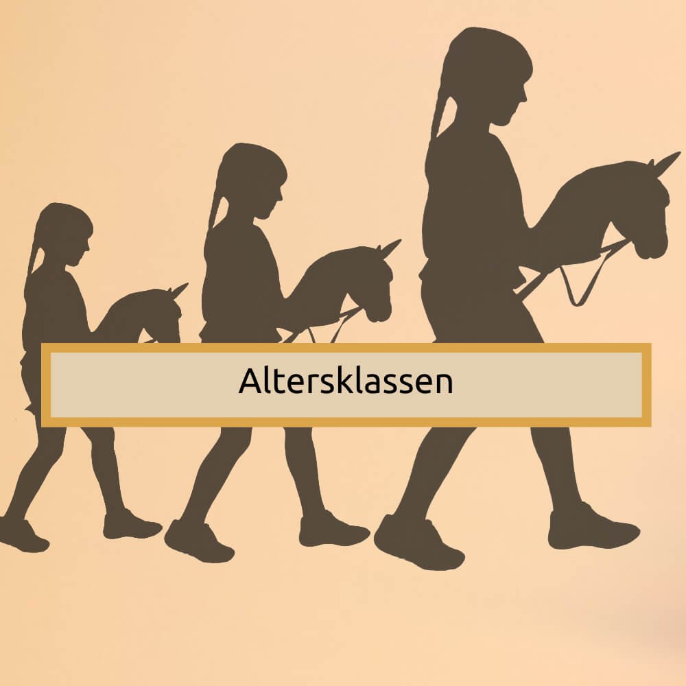 Mehr über den Artikel erfahren Altersklassen im Hobby Horsing