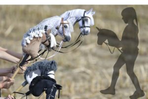 Mehr über den Artikel erfahren Begriffe im Hobby Horsing