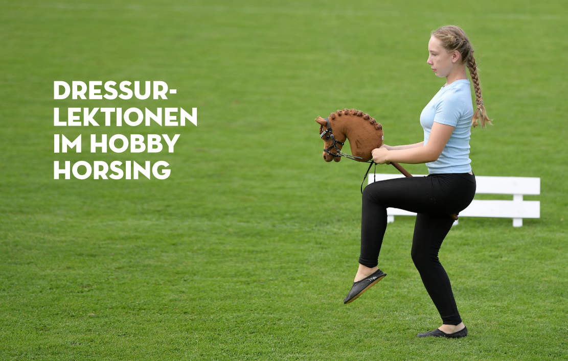 Mehr über den Artikel erfahren Dressur-Lektionen