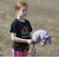 Hobby Horse Zügelhaltung linke Hand