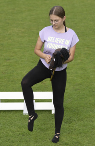 Hobby Horse Haltung Hinterhandwendung