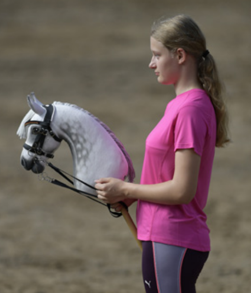 Hobby Horse Haltung Rückwärtsrichten