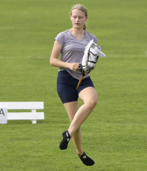 Hobby Horse Haltung Traversale