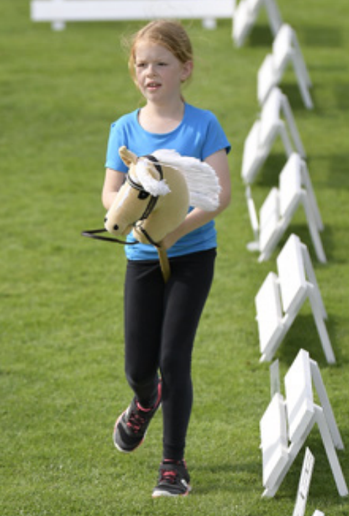 Hobby Horse Haltung Schulterherein