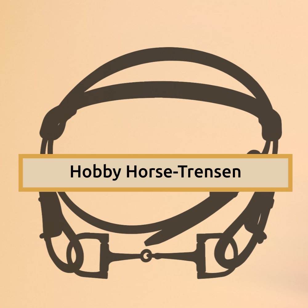 Mehr über den Artikel erfahren Hobby Horse Trensen