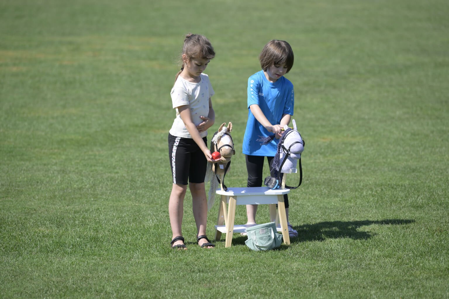 Mehr über den Artikel erfahren Hobby Horse für Lenia