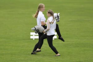 Mehr über den Artikel erfahren Dressur-Wettbewerbe