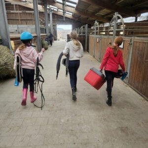 Mehr über den Artikel erfahren Die Patchwork-Sisters 💕🐴✨