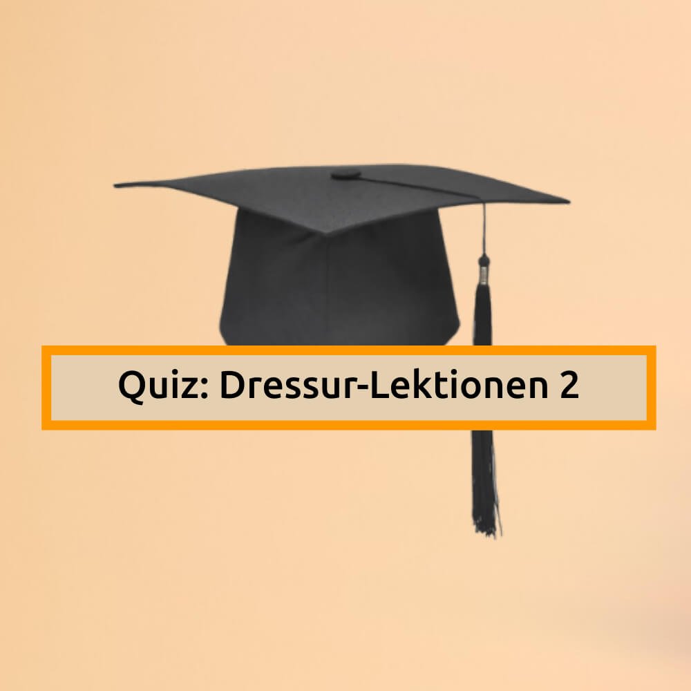 Quiz: Dressur – Lektionen Teil 2 – jetzt starten