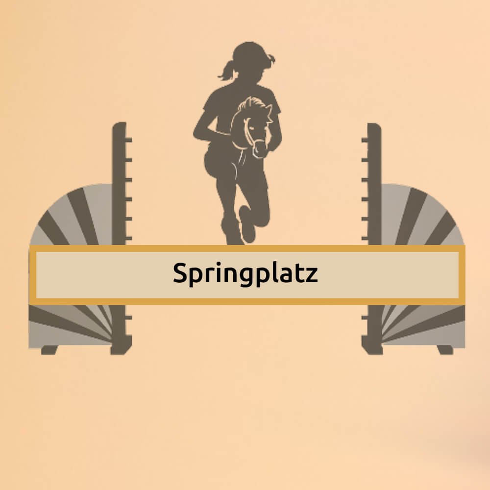 Mehr über den Artikel erfahren Springplatz