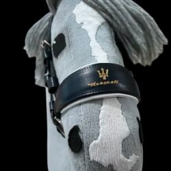 Hochwertige englische Hobbyhorse Trense. M-Edition