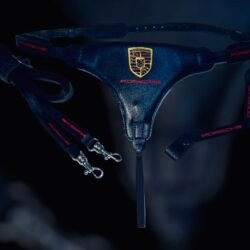 Hochwertiges Hobbyhorse Vorderzeug Set. P-Edition