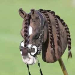 Hobby Horse zu verkaufen!