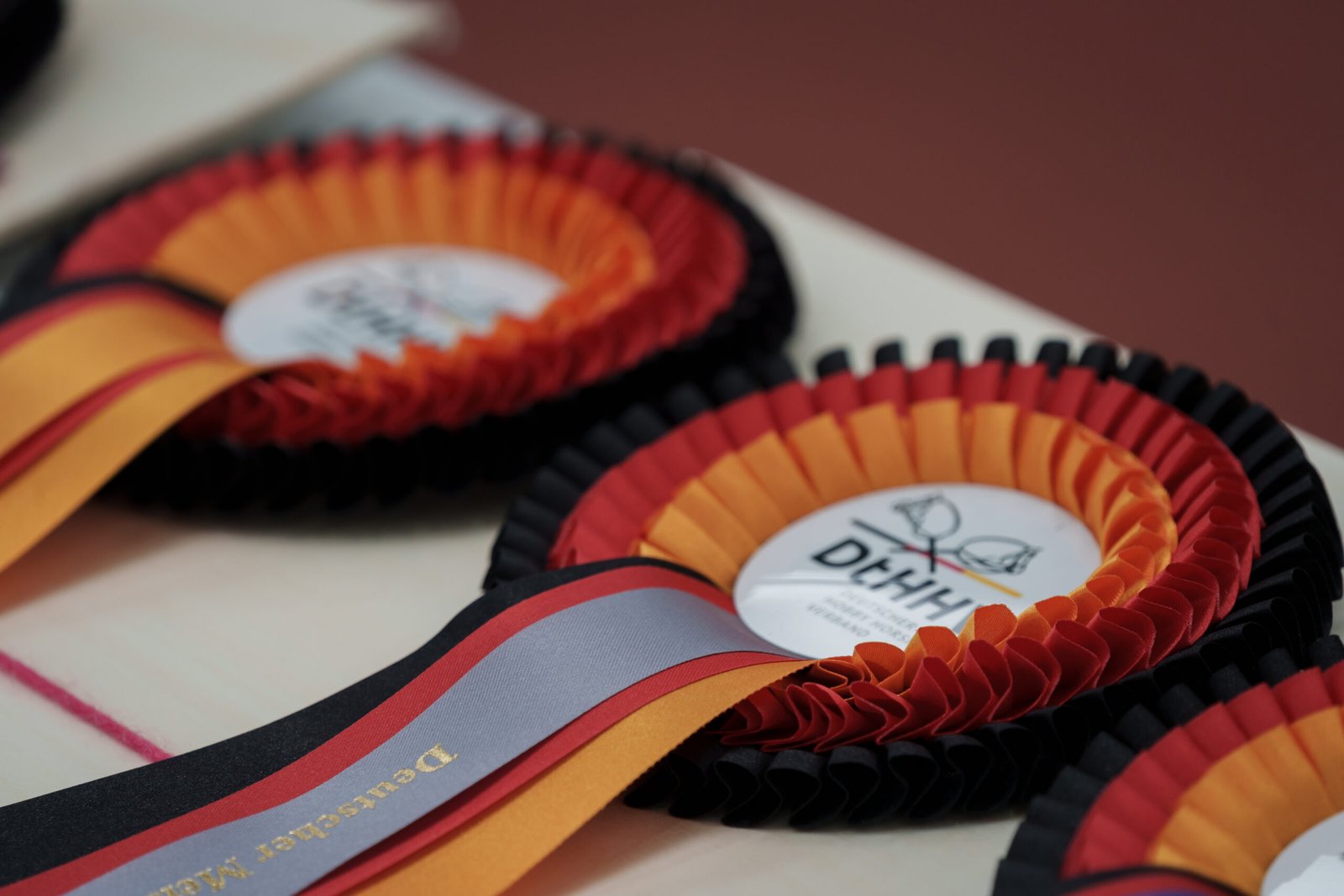 2. Deutsche Meisterschaft im Hobby Horsing