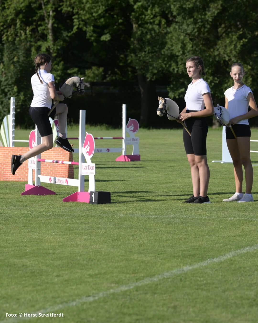 Hobby Horsing Trainingscamp 2026 -